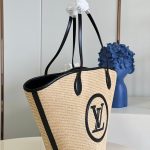 louis-vuitton-saint-jacques-autres-toiles-monogram-handbags-M59808_PM2_Front-view.png