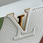 louis-vuitton-capucines-mini-bag-capucines-handbags-M59864_PM2_Front-view.png