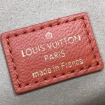 louis-vuitton-coussin-pm-h27-handbags-M20761_PM2_Front-view.png