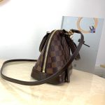 louis-vuitton-alma-bb-damier-ebene-canvas-handbags-N41221_PM2_Front-view.png