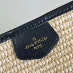 louis-vuitton-saint-jacques-autres-toiles-monogram-handbags-M59808_PM2_Front-view.png