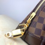 louis-vuitton-alma-bb-damier-ebene-canvas-handbags-N41221_PM2_Front-view.png